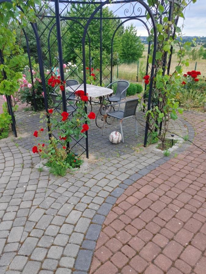 Apartamentypomorze เบียโวกูรา ภายนอก รูปภาพ